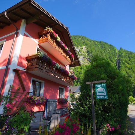 Haus Hoell Herta Гальштат Екстер'єр фото